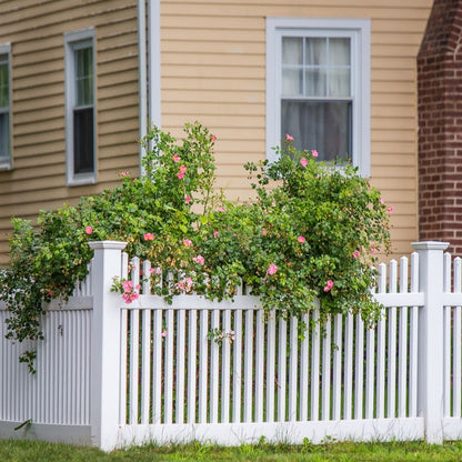Chestnut Scallop Haven Series - Fence Panel - 4' x 8'-Vinyl Fence Panels-ActiveYards-White-FenceCenter
